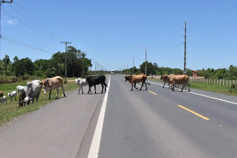 WhatsApp Image 2024-11-05 at 06.11.27