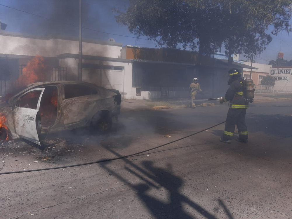 WhatsApp Image 2023-03-02 at 16.28.49