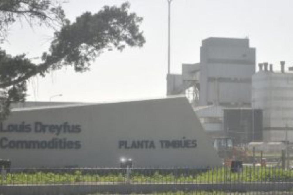 Dreyfus