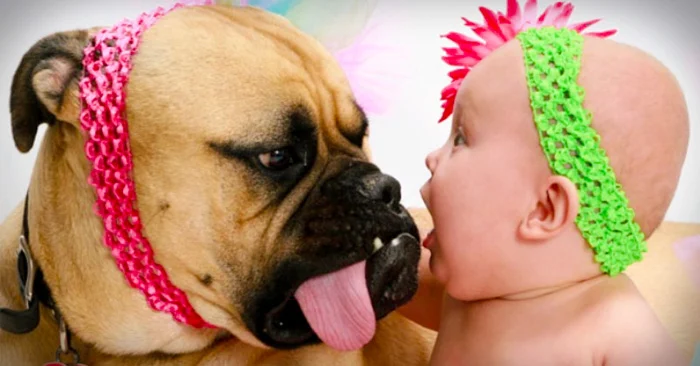 64_big_dog_and_baby-1